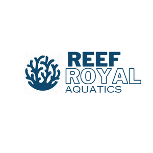 Reef Royal Aquatics